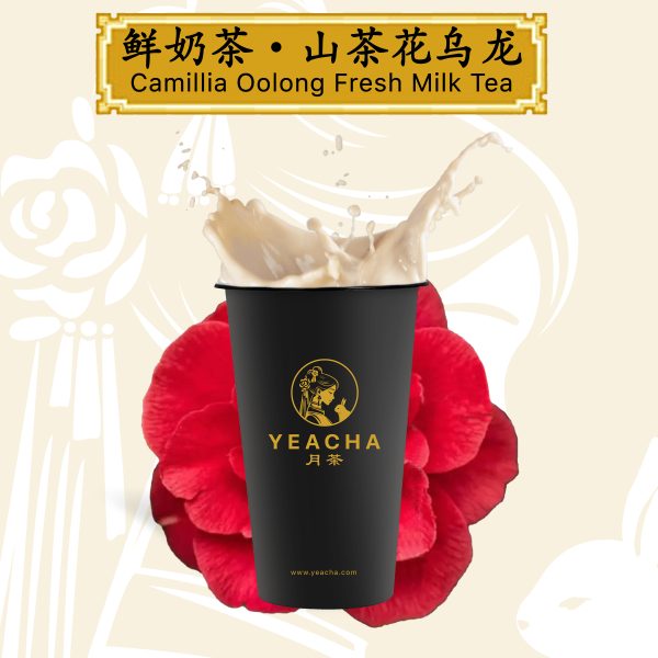 鲜奶茶·山茶花乌龙 Camellia Oolong Fresh Milk Tea